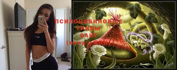 PSILOCYBIN Нея