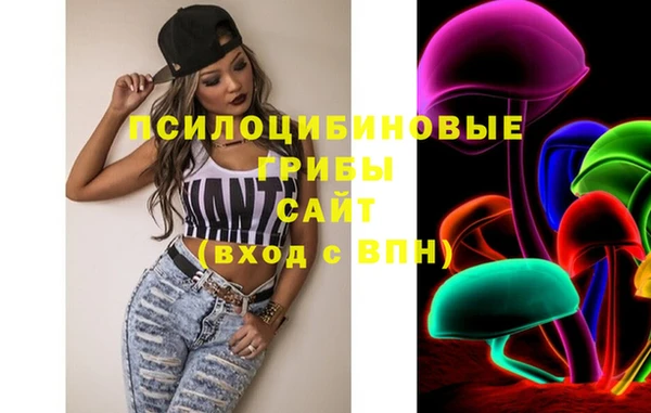 ПСИЛОЦИБИНОВЫЕ ГРИБЫ Абинск